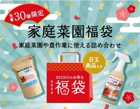 先着30個限定 家庭菜園福袋 家庭菜園や農作業に使える詰め合わせ