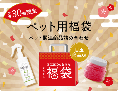 先着30個限定 ペット用福袋 ペット関連商品詰め合わせ
