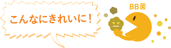 こんなにきれいに！