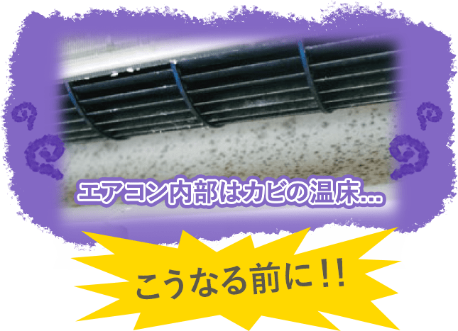 エアコン内部はカビの温床...こうなる前に!!