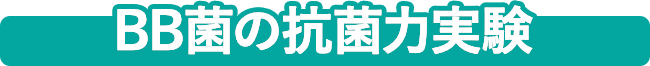 BB菌の抗菌力実験